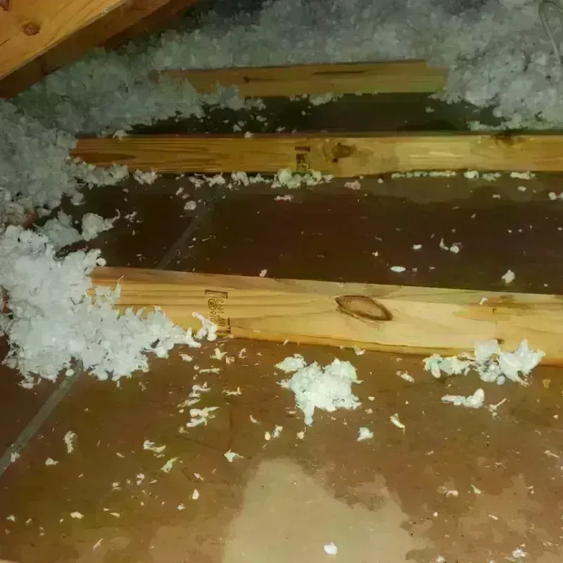 Attic Water Damage in Wallowa County, OR